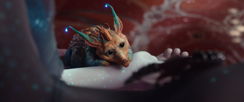 This little guy is what the whole movie is about. Seriously.